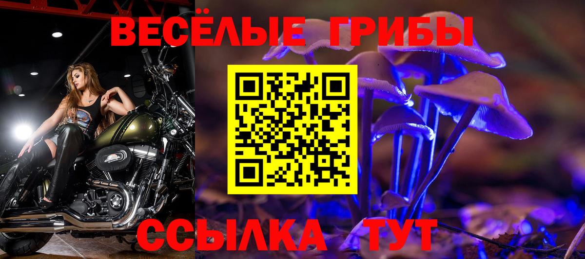 Галлюциногенные грибы MAGIC MUSHROOMS  закладка  Сунжа  Псилоцибиновые грибы Magic Shrooms  Вход с VPN 