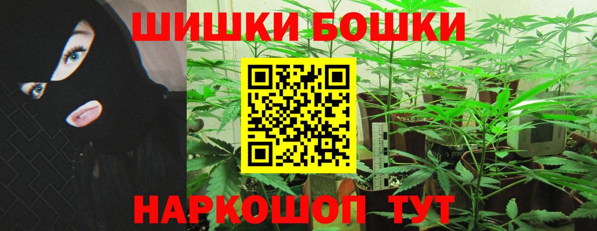 Каннабис план Сунжа